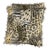 Modern Animal Luby Eyelash Small Throw Pillows- Set of 2 For Sale