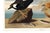 Black King Duck, Vintage Art Print Reproduction From Birds of America by John James Audubon, 24" X 16" For Sale - Image 8 of 9