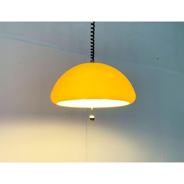 Mid-Century Space Age Cabras Pendant Lamp by Luigi Massoni for Guzzini, 1960s For Sale - Image 12 of 18