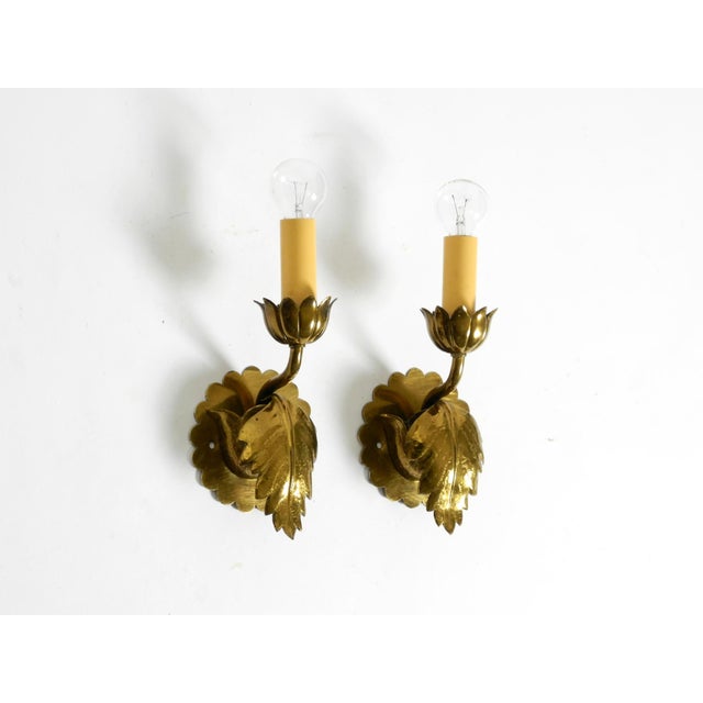 Mid-Century Modern Floral Wall Lamps in Brass, 1950s, Set of 2 For Sale - Image 15 of 18