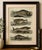 Original antique print of sperm whale and north atlantic whales by bertuch, c.1800 original antique hand-colored copper...