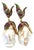 Bochic "Orient" Ruby, Topaz & Multi Fancy Gem Earrings Set In 18K Gold & Silver For Sale
