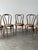 Bentwood Oak Café Chairs W/ Rose Floral Seats, 1933 World's Fair — Set of 7 For Sale - Image 4 of 17