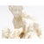 Antique White Antique Bisque Sculpture With Dogs For Sale - Image 8 of 13