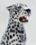 Unique handmade statue of a white leopard. This Hollywood Regency statue, crafted from hand-painted ceramic and made in...