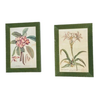 Vintage Wood Framed Botanical Prints For Sale