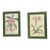 Vintage Wood Framed Botanical Prints For Sale