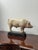Vintage Painted Plaster Pig Models, Ministry of Agriculture, 1920s-1940s, Set of 2 For Sale - Image 3 of 7