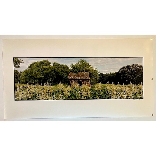 Realism Maxwell Mackenzie, Farm, Summer Landscape, Large Panoramic Vintage Color Photograph Signed Photo, 1993 For Sale - Image 3 of 10