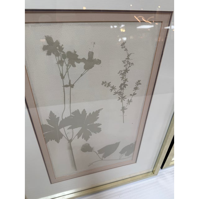 Soicher Marin "Ghost Herberia in Celedon", Complete Series For Sale In San Francisco - Image 6 of 12