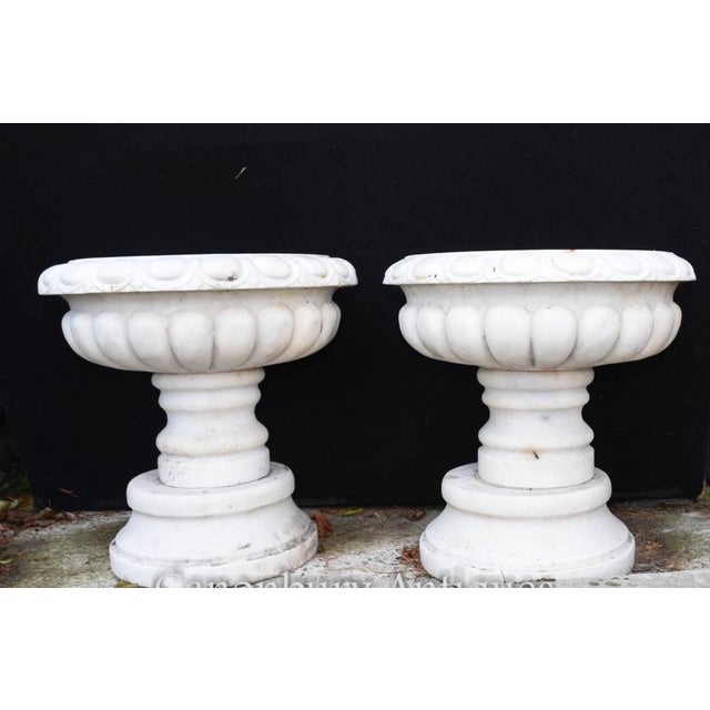 White English Stone Garden Planters, Set of 2 For Sale - Image 8 of 8