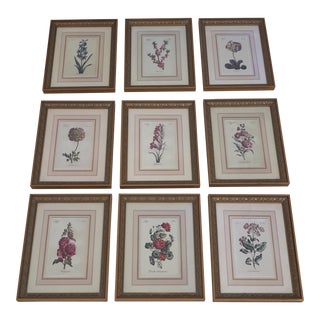 Set of 9 Uttermost Gold Framed Botanical Prints For Sale