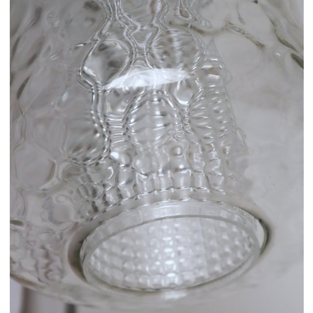 Transparent Crocodile Lamp with Two Glass Shades from Peill & Putzler, 1960s For Sale - Image 17 of 18