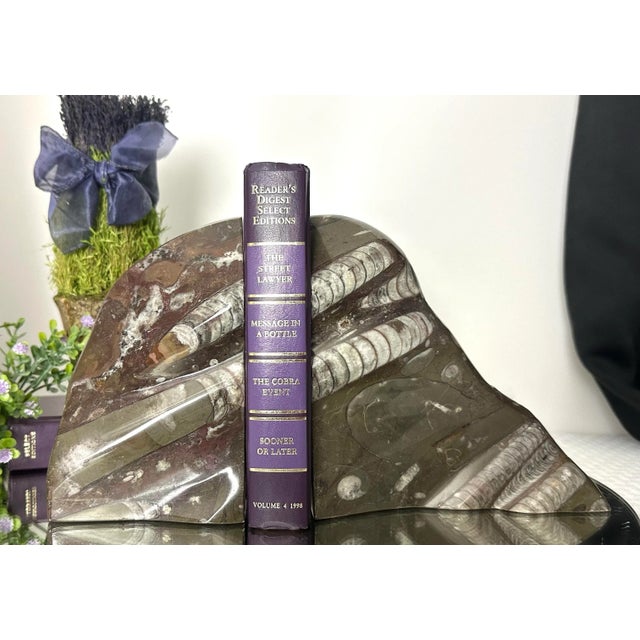 Book Ends Fossil Ammonite & Orthoceras Nautical Stone - A Pair For Sale In Phoenix - Image 6 of 10