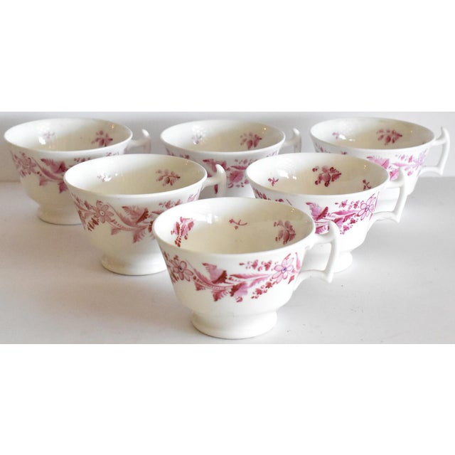 Collection of Georgian Famille Rose Tea Cups - Set of 6 For Sale - Image 13 of 13