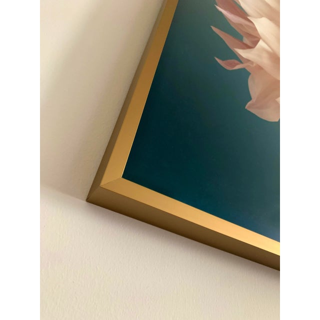 Original limited edition framed botanical photograph by Erin Derby. This piece is part of an ongoing collage project...