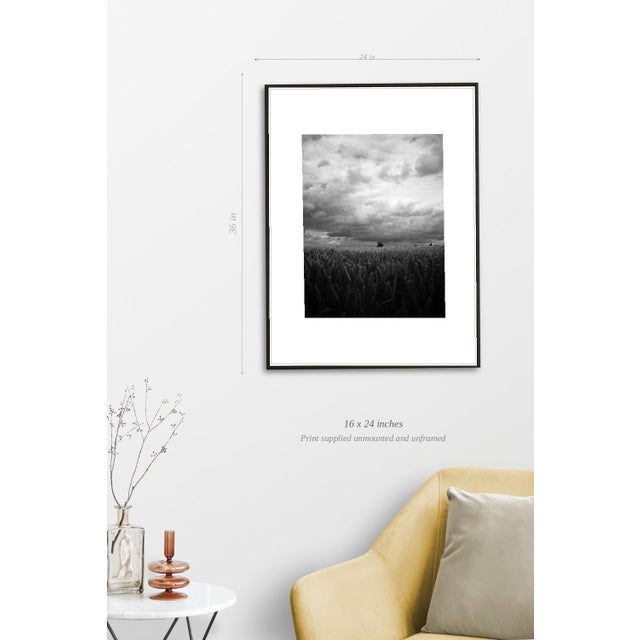 Paul Cooklin, Wheat Field, Occold III, Edition of 50 For Sale - Image 4 of 7