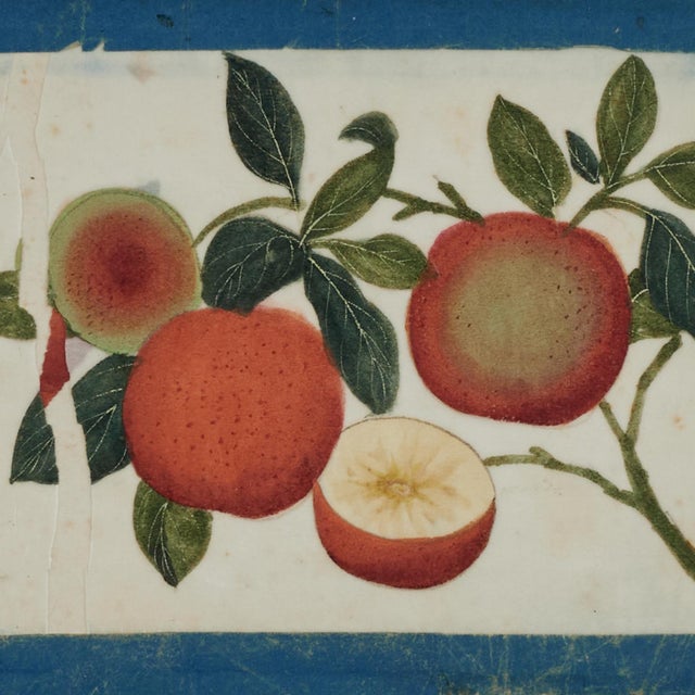 Set of Nine Antique Chinese Botanical Fruit Paintings on Pith Paper For Sale - Image 9 of 18