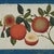 Set of Nine Antique Chinese Botanical Fruit Paintings on Pith Paper For Sale - Image 9 of 18