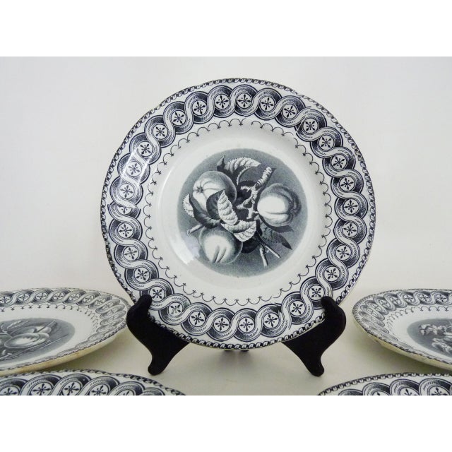 Ten hb choisy-le-roi earthenware dessert plates with fruit decoration, 19th century a beautiful set of ten black and white...