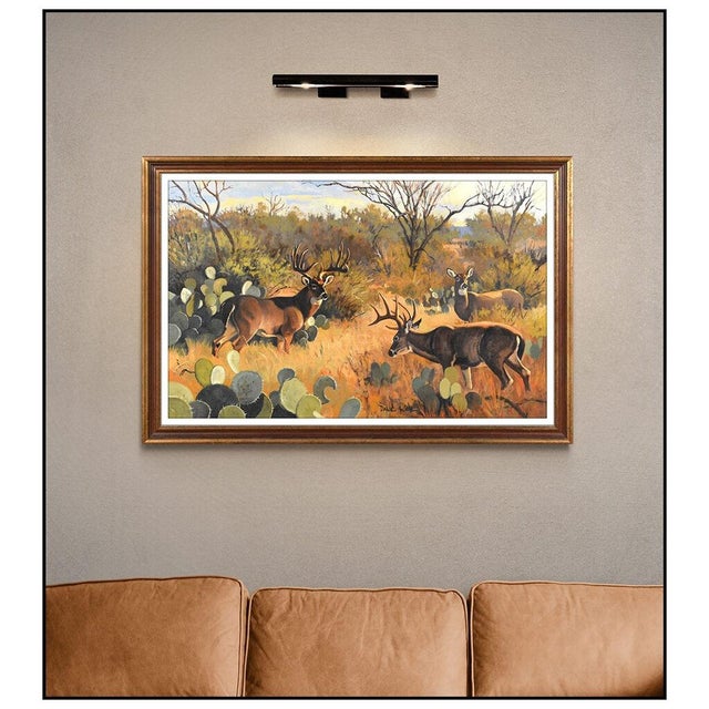 Message us to inquire about custom framing options! (Included for free with every purchase) The artwork here, "High Desert...