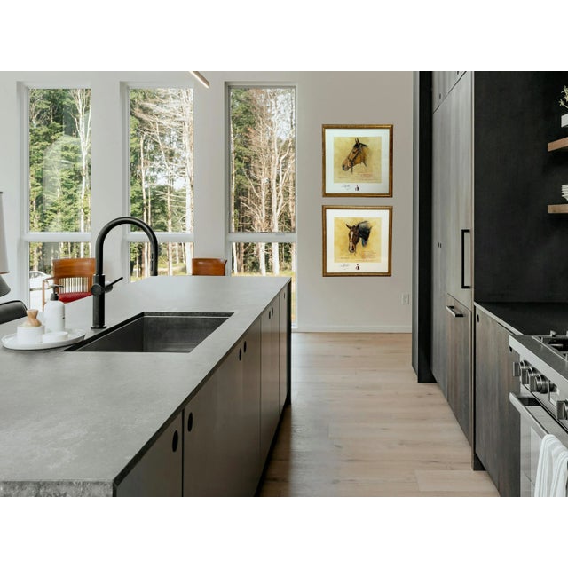 Paint 2000s "Napolitain" Vintage French Equestrian Watercolor Horse Painting by Martin Alford For Sale - Image 7 of 11