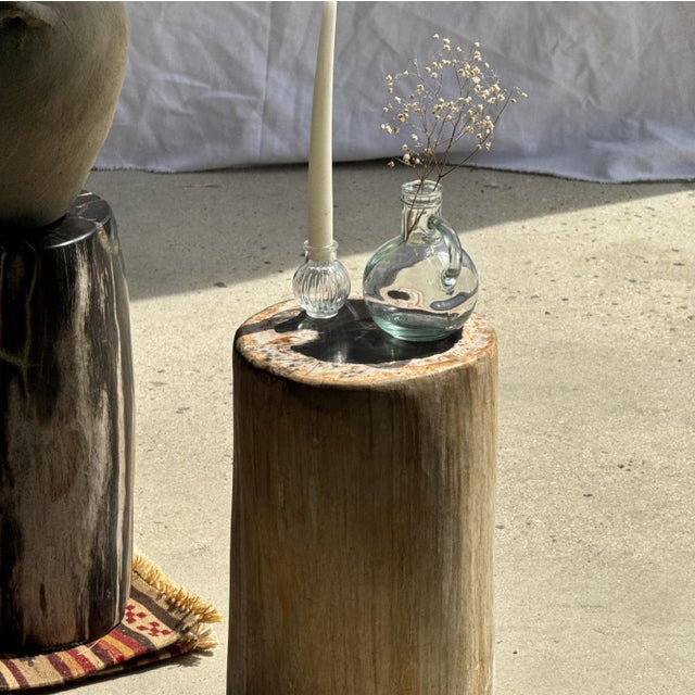 Side Table in Petrified Wood, Black Heartwood and White Bark, 1980s For Sale - Image 13 of 18