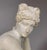 Early 19th Century Early 19th-century white marble sculpture in the Neoclassical style depicting Venus at the Bath For Sale - Image 5 of 10
