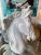1970s Vintage Plaster White Lacquered Modern Large Horse Head Statue For Sale - Image 5 of 12