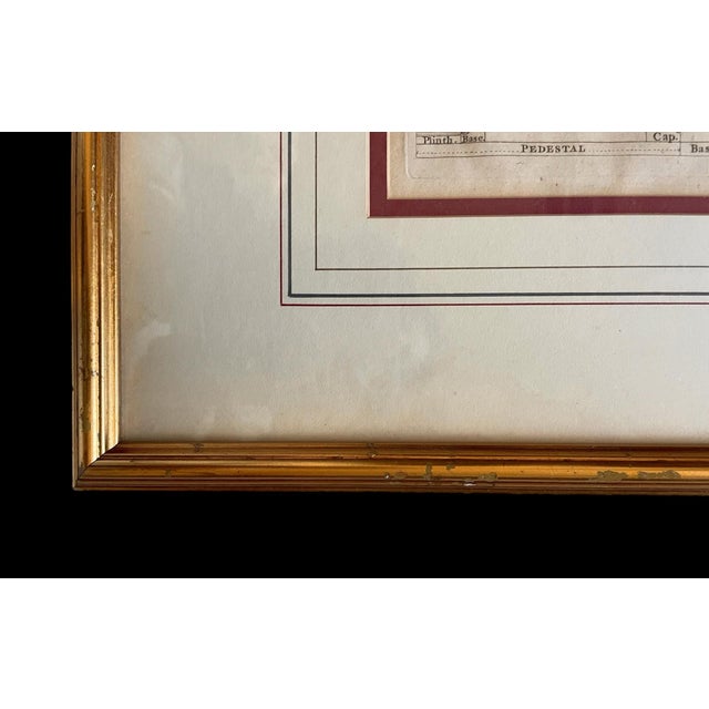Antique Engraving by g.l. Smith. The Five Orders of Architecture With TheirPedestals. Framed For Sale - Image 10 of 10