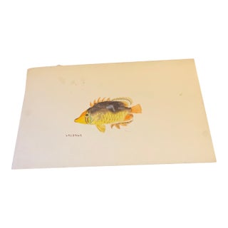 Original Watercolor 19th C. For Sale