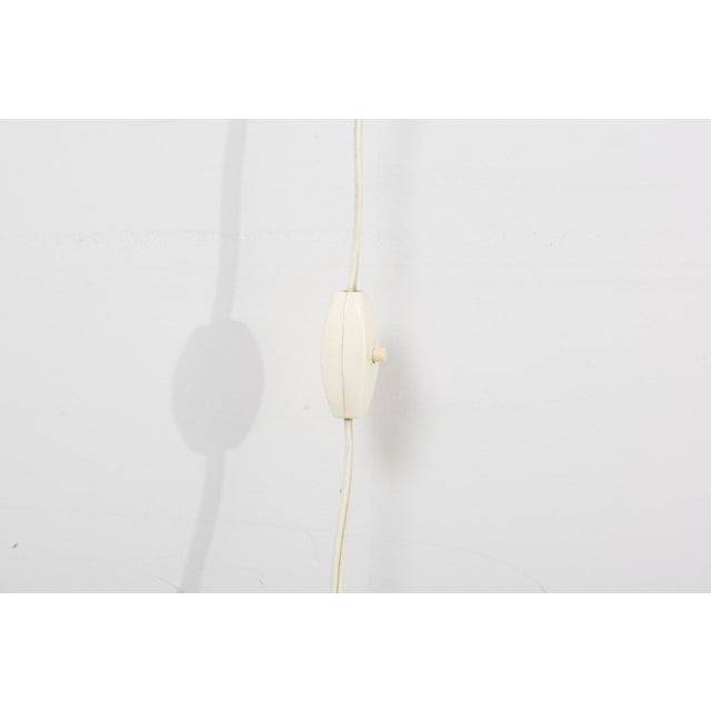 Teak and Sisal Wall Lamp from Temde, Switzerland, 1950s For Sale - Image 14 of 17