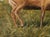 Contemporary Spirit of the High Country by Robin Hextrum | Oil on Panel Stag Landscape For Sale - Image 3 of 7