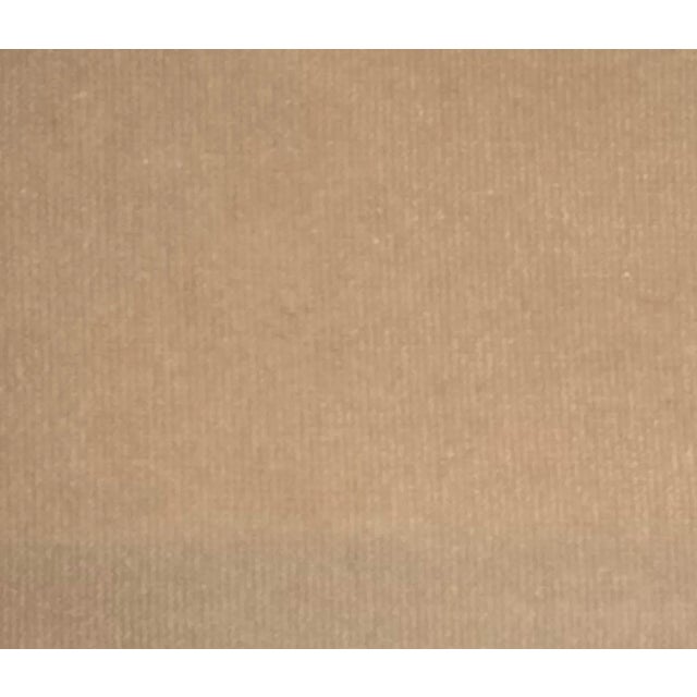 25 Yards of Nancy Corzine Carlisle Velvet. Nancy Corzine Calls this beige color cashmere.