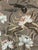 Schumacher 172934 Lotus Garden Mocha Fabric 8 Yards Brand Schumacher Fabric Book / Collection Schumacher Classics Pattern...