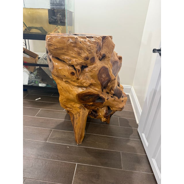 Early 20th Century Early 20th Century Large Sculptural Natural Root Wood Pedestal / Accent Table, 34” For Sale - Image 5 of 6