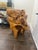 Early 20th Century Early 20th Century Large Sculptural Natural Root Wood Pedestal / Accent Table, 34” For Sale - Image 5 of 6