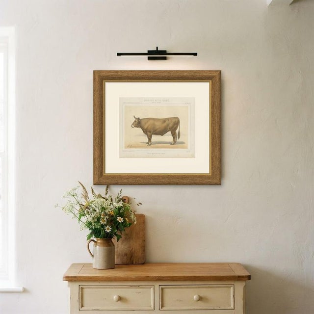 Paper Borie, Bresse Ox, French Cattle Breed, 1863, Chromolithograph For Sale - Image 7 of 9