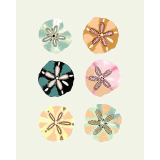 "Sand Dollar (Lime Green)" Contemporary Giclee Print by Sarah Gordon For Sale