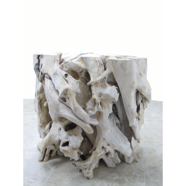 Wood Contemporary Organic Modern Teak Root Sculpture For Sale - Image 7 of 10