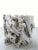 Wood Contemporary Organic Modern Teak Root Sculpture For Sale - Image 7 of 10