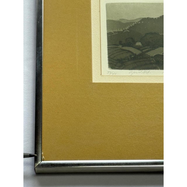 Mid 20th Century Linda Plotkin (Wi b.1938-) Orig. Tonalist Etching 33/45 Signed, Titled "April Mt.", Framed For Sale - Image 9 of 9