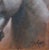 This oil painting on copper captures the serene profile of a horse, its gentle expression conveying a sense of calm and...