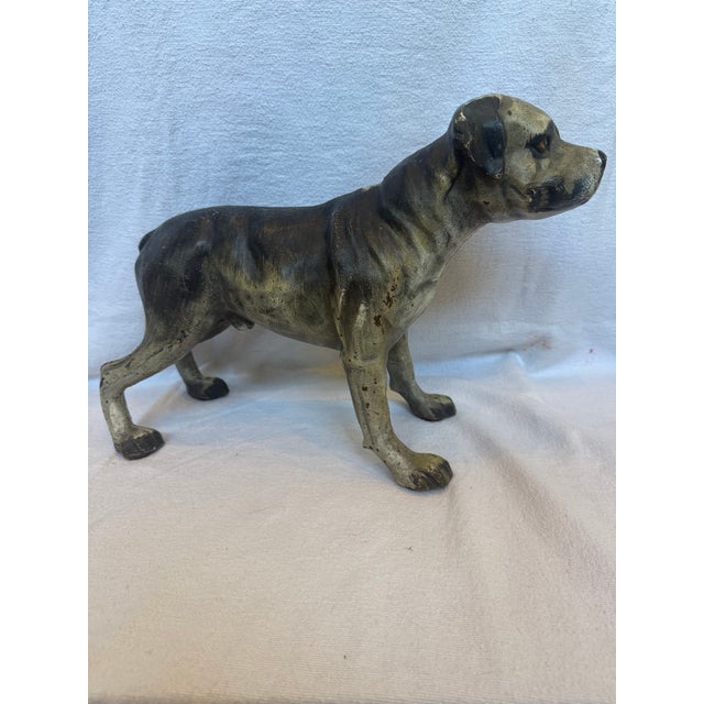1940s 1940s Cast Iron Ginormous Mastiff For Sale - Image 5 of 11