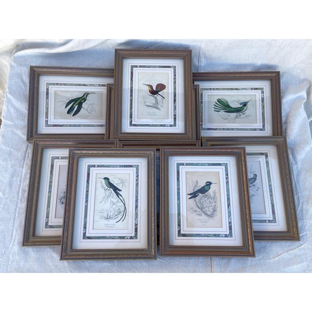 Set of 9 hummingbird prints framed chairish
