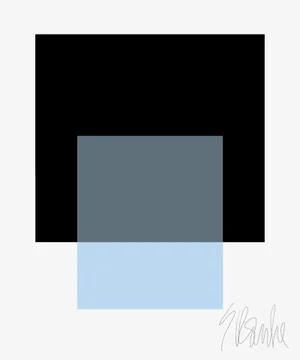 "The Interaction of Black and Powder Blue" Fine Art Print 20" X 24" by Liz Roache