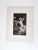 Collection of 6 Circa 1890's photogravure prints on paper. Variety of classic artwork represented, published by Hans...