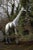 This impressive life-size giraffe sculpture, finished in a sleek silver color, is a true work of art. Perfect for creating...