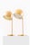 Table Lamps in Brass and Plastic by Eje Ahlgren, 1950s, Set of 2 For Sale - Image 3 of 9