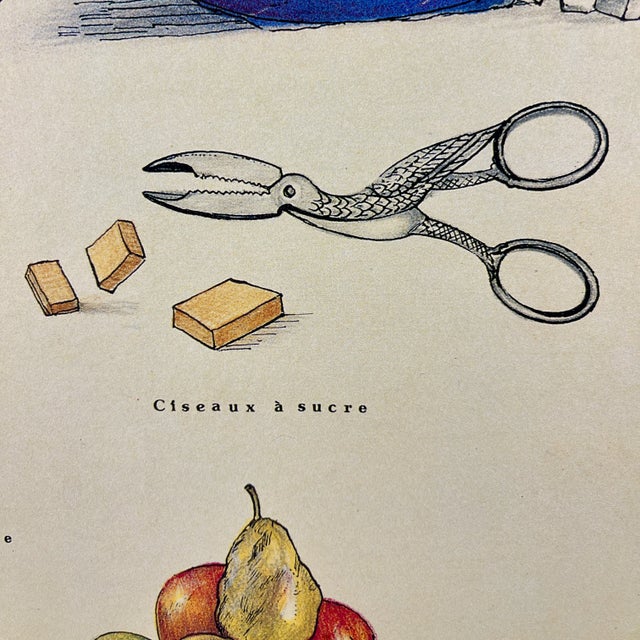 Early 20th Century Le Sucre, Original Émile Deyrolle French Mounted & Hanging Offset Lithograph For Sale - Image 5 of 12